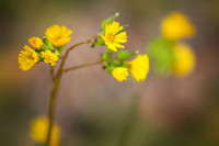 RoundtheHouse_0009 C