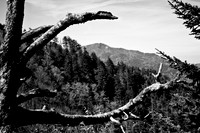 IMG_8724