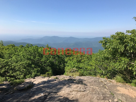 080_BrantleyDavis052619
