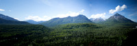 IMG_5454 Pan