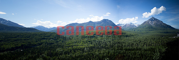 IMG_5454 Pan