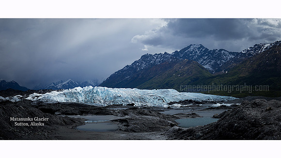 IMG_5517website