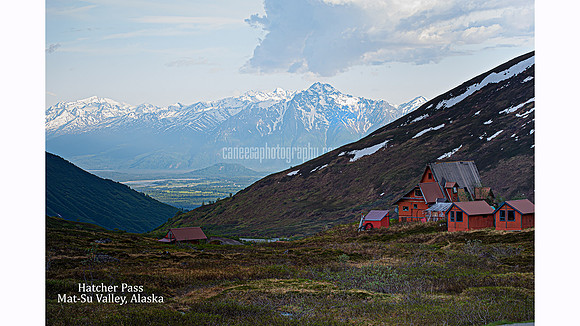 IMG_5381website