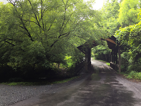 Covered Bridge @ Cherry Log