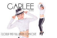 090_SDE_Composite2