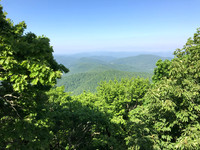 082_BrantleyDavis052619