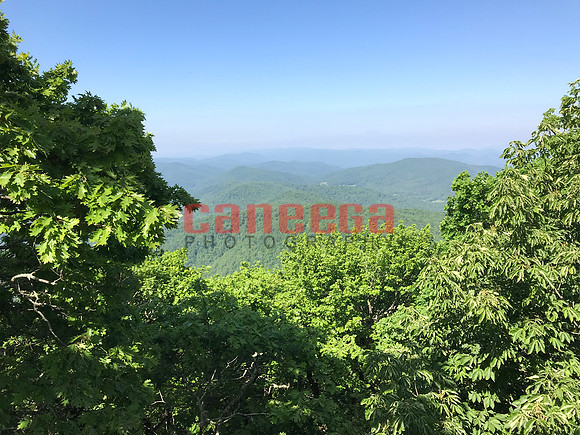 082_BrantleyDavis052619