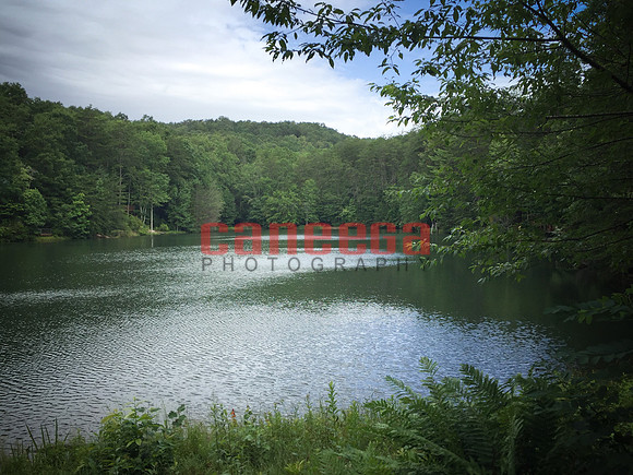 Big Cherry Lake @ Cherry Log