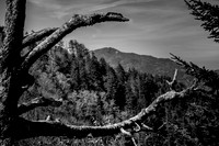 IMG_8724_2