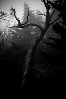 IMG_8664