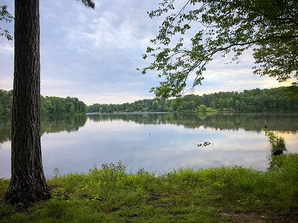 02_HamburgSP062319