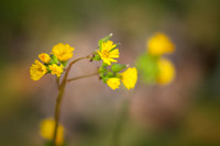 RoundtheHouse_0009