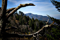 IMG_8724b