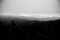 IMG_8649